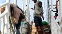 Kondisi sejumlah jembatan penyeberangan orang (JPO) di ibu kota saat ini sangat memprihatinkan.