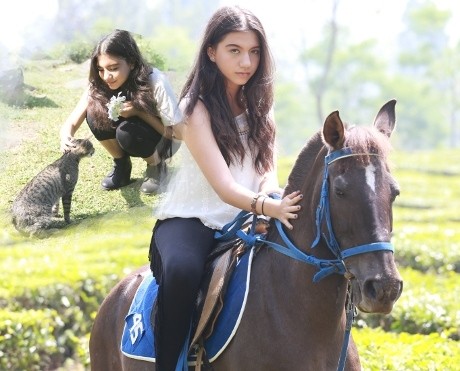 Jalan-jalan Bareng Cassandra Lee, Yuk!