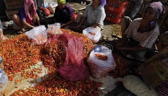 Ini 5 Tangan Rantai Distribusi Cabai dari Petani ke Pasar di Jakarta