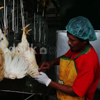 Mentan Minta Kenaikan Harga Ayam Tak Dibesar-besarkan