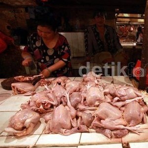 Harga Daging Ayam Mulai Turun Rp 1.000/Kg Jadi Rp 37.000/Kg