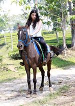 Si Cantik Cassandra Lee Nikmati Kesejukan Puncak Sambil Berkuda