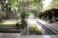 Kolam yang biasa digunakan oleh keluarganya untuk berenang tersebut, kini disulap menjadi kolam ikan.