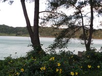 Jalan yang menurun membuat wisatawan bisa melihat danau dari ketinggian dan kejauhan. Dari sana bisa terlihat bagaimana gradasi warna yang tercipta di danau ini (Shafa/detikTravel)