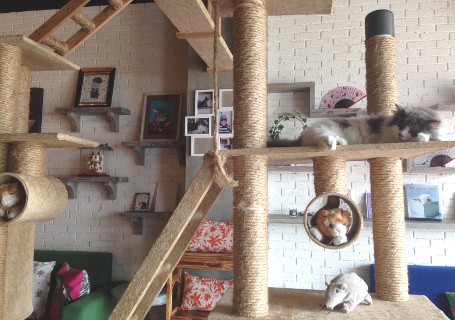 Barbie, Toilet dan Ninja Jadi Tema Fenomenal Kafe di Taiwan
