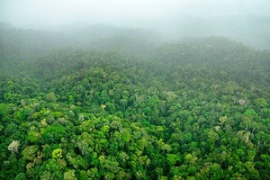 Terungkap, 10 Negara Paling Hijau di Dunia