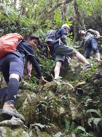 Tim harus menembus hutan rimba yang lebat, dengan trek yang naik turun gunung. Foto-foto ini di-publish atas seizin Maximus Tipagau, Direktur Carstensz Adventure (Maximus/Adventure Carstensz)
