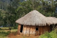 Akhirnya tiba di Ugimba, tampak sebuah rumah honai. Ugimba berada di ketinggian 3.200 mdpl (Maximus/Adventure Carstensz)