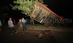 Tabrakan Truk di Pantura, 1 Orang dan 3 Sapi Tewas