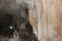 Ada beberapa stalaktit yang berbunyi seperti gendang ketika dipukul. Bunyinya cukup nyaring (Kurnia/detikTravel)