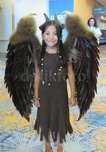 Perayaan Akbar Penggemar Disney di D23 Expo 2015 (2)