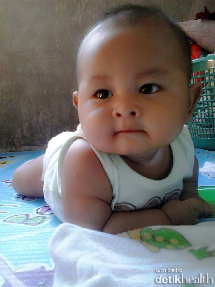 Muhammad Hafidz Al Fatih