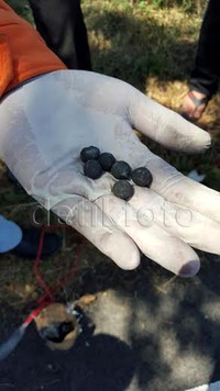 Dan bentuk bunga api tersebut memang unik, ada black powder semuanya warnai warni. Pool/Rois Jajeli/detikcom.         