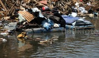 Sejumlah warga mengumpulkan barang-barang sisa pembongkaran bangunan di Bantaran Kali Ciliwung.