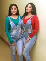 Duo Serigala Bergaya Luigi dan Mario Bros