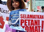 Aksi Save Petani Tomat