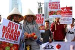 Aksi Save Petani Tomat