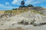 Jelajah Tambang Aspal di Buton