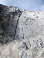 Foto-foto Perjuangan Meraih Puncak Carstensz Papua