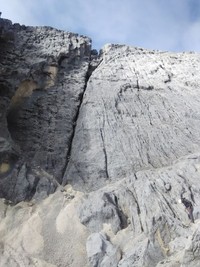 Selama 7 hari tersebut, tim benar-benar nyaris menyentuh titik nadir. Kami berjalan kaki sejauh total 61 km bahkan harus memanjat vertikal sebagai salah satu tantangan ke Puncak Carstensz (Afif/detikTravel)
