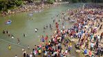 Ribuan Warga Pesta Parak Iwak di Sungai Serayu