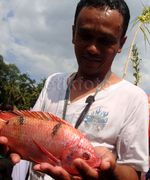 Ribuan Warga Pesta Parak Iwak di Sungai Serayu