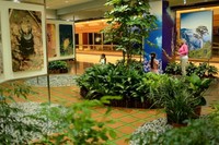 Lounge C9 tampil dengan tema brilian dan berani. Di dalam gedung bandara, lounge ini tampil dengan tema Nature. Alam berupa tumbuhan dan satwa menjadi dekorasi utama (Ari Saputra/detikTravel)