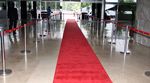 Karpet Merah di Gedung DPR Menuai Protes
