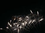 'Ciuman' Selamat Malam di Disneyland