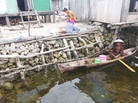 Kebanyakan Suku Bajo di sini berprofesi sebagai nelayan. Tak hanya kaum pria, wanita pun juga ada yang melaut. Mereka biasanya mencari ikan sejak pagi hingga sore hari (Kurnia/detikTravel)