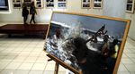 PFI Yogyakarta Gelar Pameran Foto Nusa Bahari