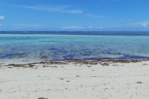 Seperti Punya Pantai Pribadi di Pesisir Buton