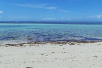 Pantai Koguna berada di Desa Mopano, Kecamatan Lasalimu Selatan, Kabupaten Buton, Sulawesi Tenggara. Pantai ini tergolong indah, tapi memang belum sepopuler pantai yang ada di Bali (Kurnia/detikTravel)