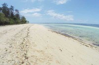 Saat tiba di pantai, mata akan dimanjakan dengan pemandangan indah dari hamparan pasir putih dan birunya air laut. Cantik! (Kurnia/detikTravel)