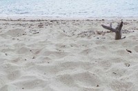 Pasir pantai terasa halus. Duduk-duduk di atas pasir yang hangat sambil memandangi lautan tentunya bisa bikin hati tenang (Kurnia/detikTravel)