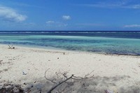 Kawasan tepi pantai ini cukup bersih. Hanya di area pepohonan di belakangnya saja yang agak sedikit kotor (Kurnia/detikTravel)