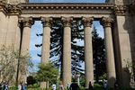 Golden Gate Park, Yang Asri nan Rindang di San Francisco