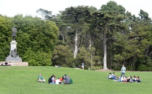 San Francisco Juga Punya Central Park