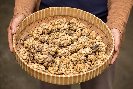 Foto: DetikFood, Thinkstock Foto: DetikFood, Thinkstock