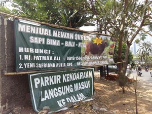 Ini Alasan Harga Sapi Kurban Tahun Ini Naik