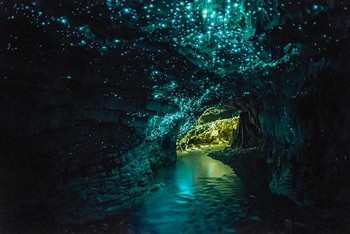 Ini bukan pemandangan di langit melainkan di dalam gua berlokasi di New Zealand. (kredit foto: waitomo/boredpanda)