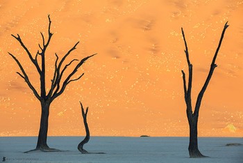 Keren! bukan sebuah lukisan, ini adalah gurun pasir berlokasi di Namibia, Afrika Selatan. (kredit foto: Martin Bailey/boredpanda)