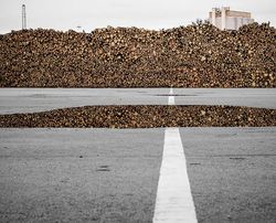 Terlihat Palsu, Foto Fantastis Ini Ternyata Asli