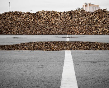 Gambar di atas adalah sebuah genangan air yang memperlihatkan pantulan gambar tumpukan kayu. (kredit foto:Florian Schaller/boredpanda)