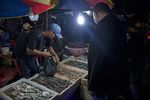Melihat Sudut-sudut Pasar Ikan Muara Angke