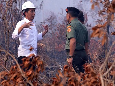 Jokowi Masuki Lahan Kebakaran Hutan Tanpa Masker