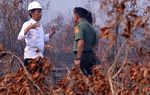 Jokowi Masuki Lahan Kebakaran Hutan Tanpa Masker