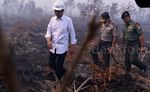 Jokowi Masuki Lahan Kebakaran Hutan Tanpa Masker