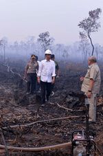 Jokowi Masuki Lahan Kebakaran Hutan Tanpa Masker