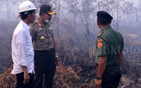 Udara masih terlihat cukup berasap. Namun Jokowi tetap saja tak mengenakan masker. Sesekali dia berbincang dengan Badrodin dan Gatot. Pool/Setpres.